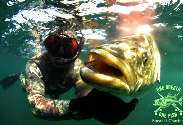 Hula Spear Fish Hula Spear Fish